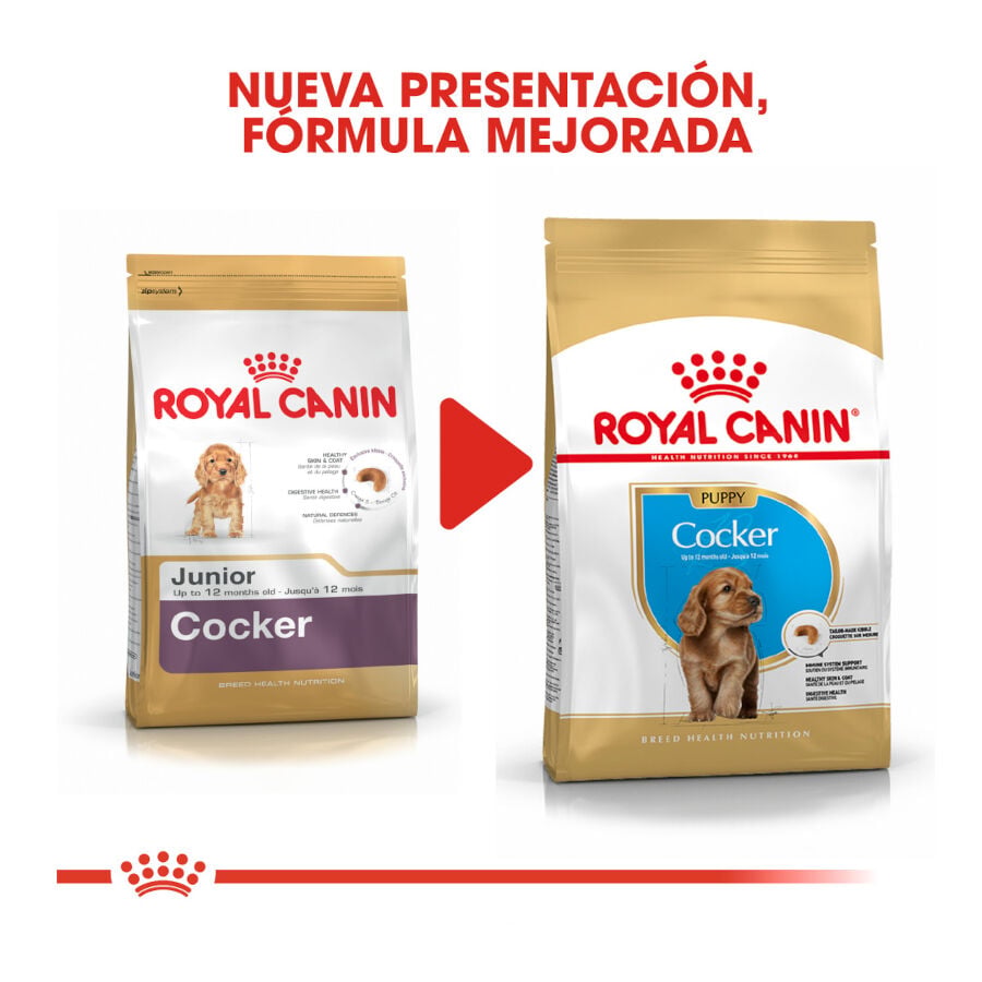 3 kg Royal Canin Puppy Cocker pienso para perros, , large indicador imagen numero 3